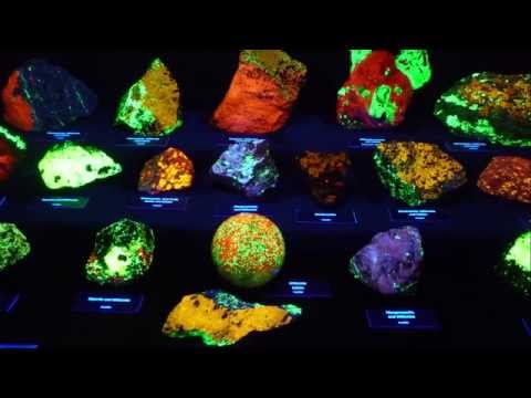 फ्लोरोसेंट खनिजांचे प्रदर्शन - गडद खडकांमध्ये चमक!