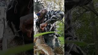 108cm 42 inch Gädda Pike Esox Lucius C&amp;R Deadbait Drift