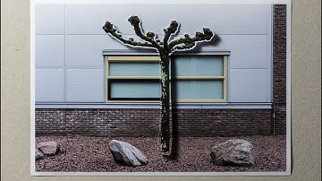 video groenerbijdeburen