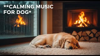 12 hours of Calming Music for Dogs : Easing Anxiety, Reducing Stress, and Promoting Deep Sleep 🐕😴