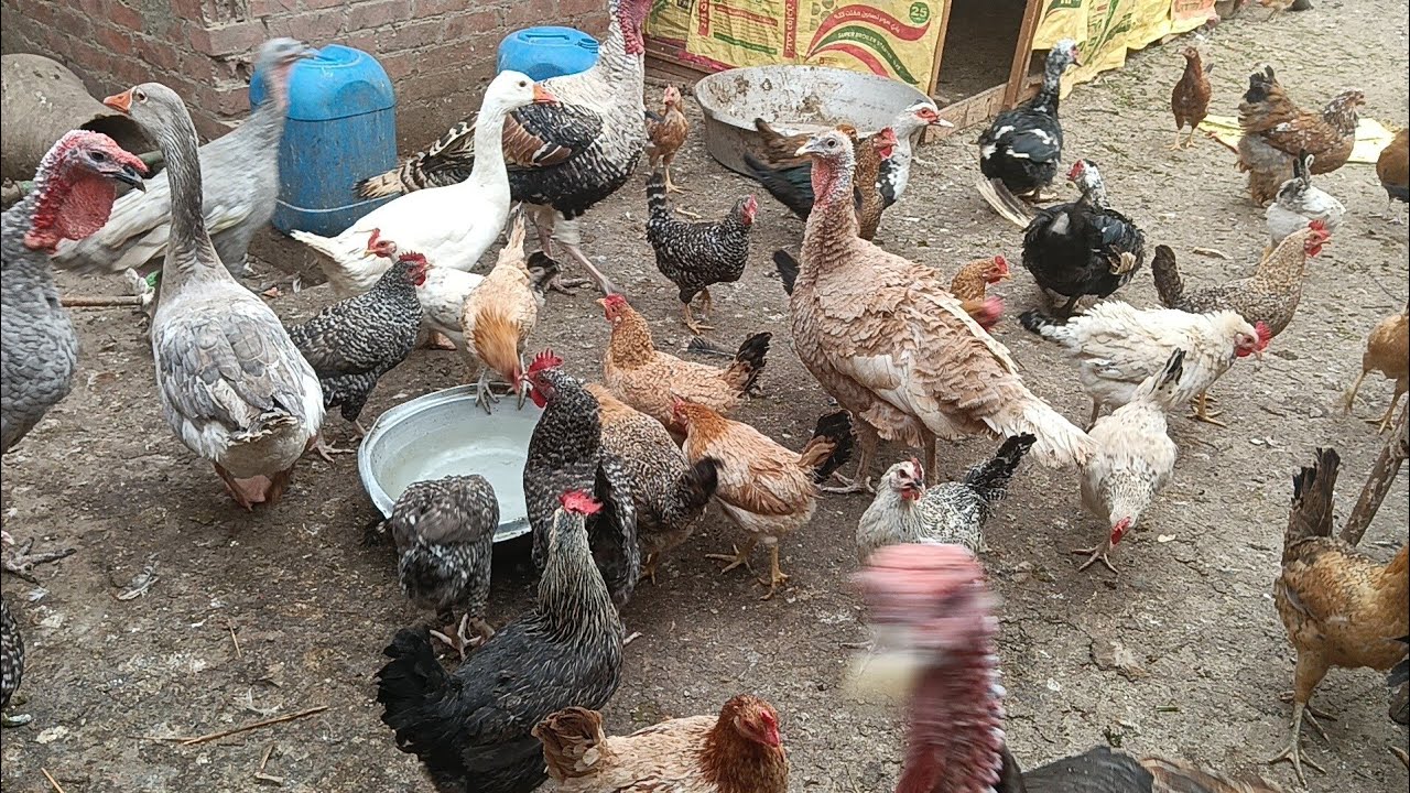 #كان لازم اعمل كده عشان ألحقها 😭