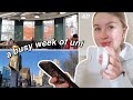 A BUSY WEEK OF ONLINE UNIVERSITY | business student