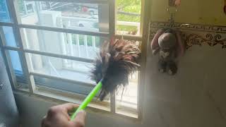 Transparent Cleaning How To Cleaning Door Floors Rivival With Veronica For A Fresh Shine 6