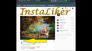 InstaLiker - Uma ferramenta de automação de curtidas no Instagram screenshot 3
