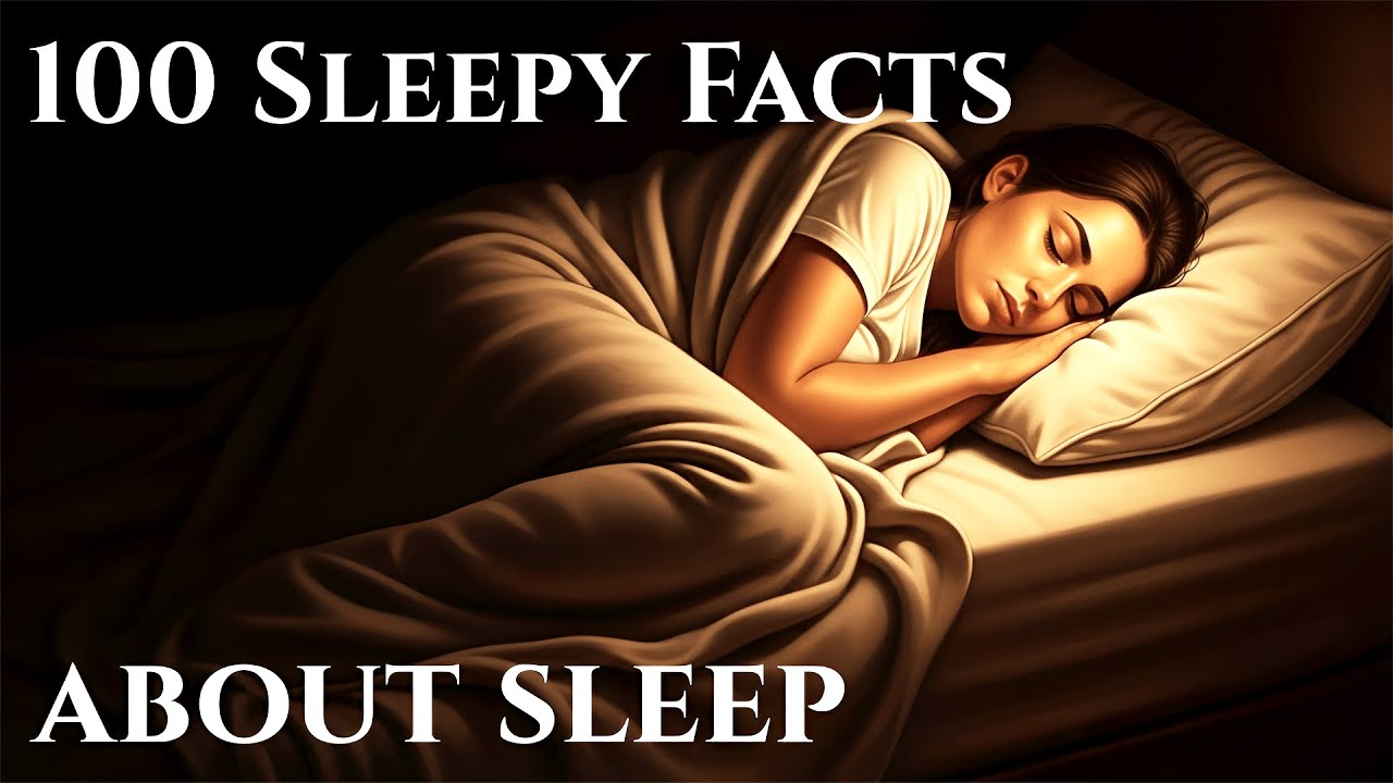 The Most Relaxing Facts About Sleep to Fall Asleep Instantly
