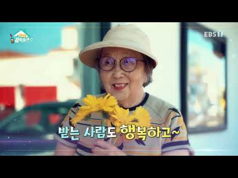 당신의 활력충전소 - 약이 되는 꽃_#001