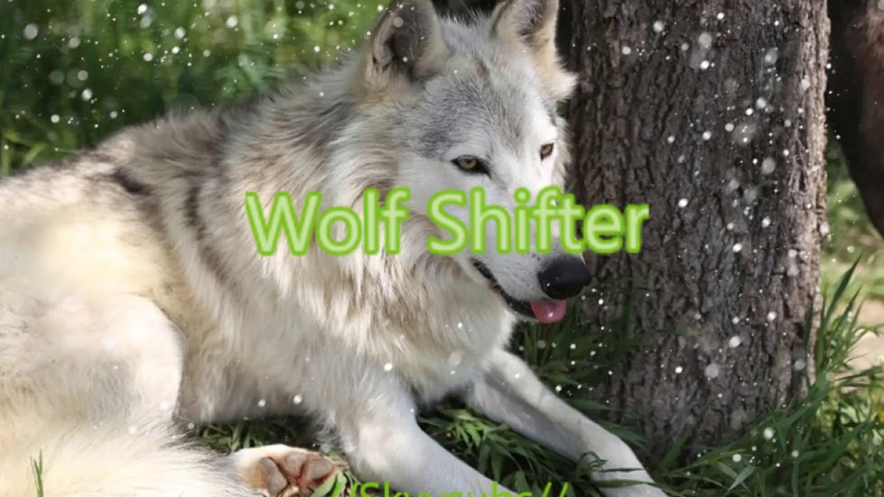 wolf shifter subliminal (extremely powerful) SkyySubs YouTube