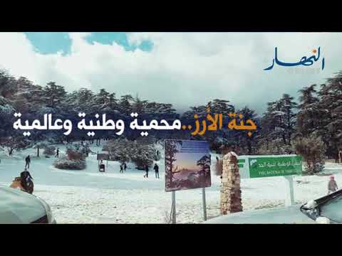 جمال بلادي محمية الارز ثنية الحد الجزائر         