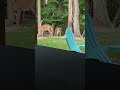 The Unbreakable Bond of Mother Deer & Fawn
