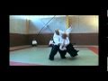 Aikido Arnaud WALTZ et Hubert FONTAINE