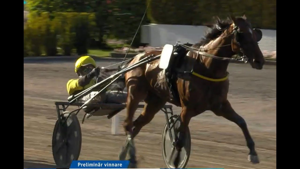 INMAROSA 1.11.5 - 3180   HARPPER HANOVERS 2025