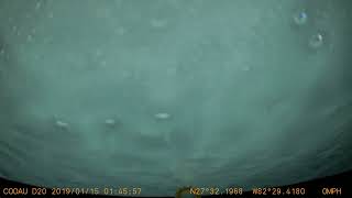 clip 2 2019 0115 014527 066F