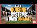 Class 13 | Systems of Housing in Dairy Animals | Moo Techie