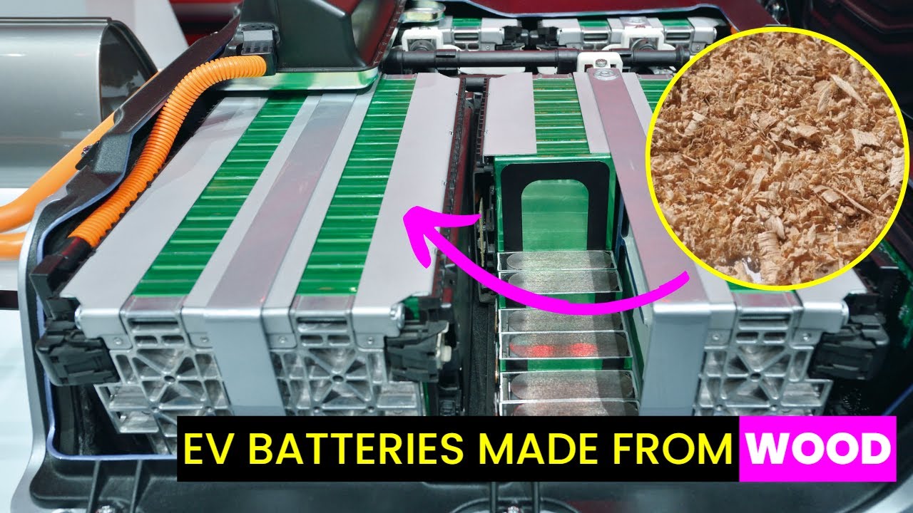 Trees Could Soon Power the EV Battery Industry | Future Technology & Science News 291