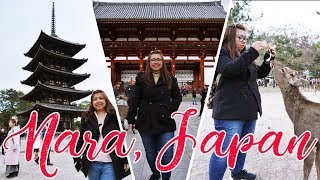 [vlog-45] Nara, Japan (奈良)