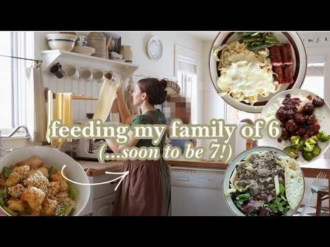 A Week Of Cozy Weeknight Dinners (from Scratch...ish?)