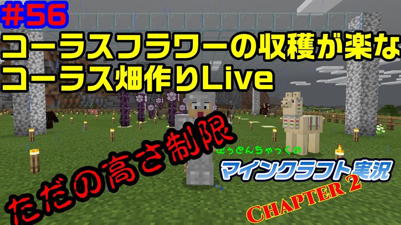 マインクラフト 56 コーラスフラワーの収穫が楽なコーラス畑を作るだけのlive むぅとんちゃっくのマインクラフト実況 Chapter 2 Youtube