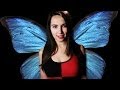 Metamorphosis of a butterfly with trisha hershberger