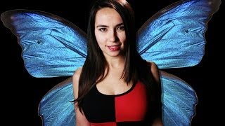 Metamorphosis of a Butterfly With Trisha Hershberger