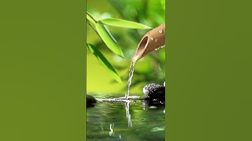 Thumbnail of Relaxing Music Bamboo Water Fountain Meditation Music Sleep Music Piano Music Stress Relief Music