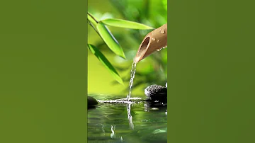 Relaxing Music Bamboo Water Fountain Meditation Music Sleep Music Piano Music Stress Relief Music