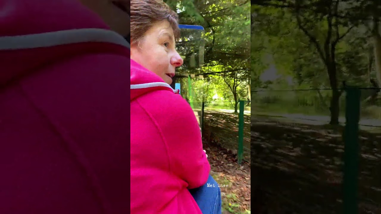 Ness Islands Mini Train 🚂 Ride 