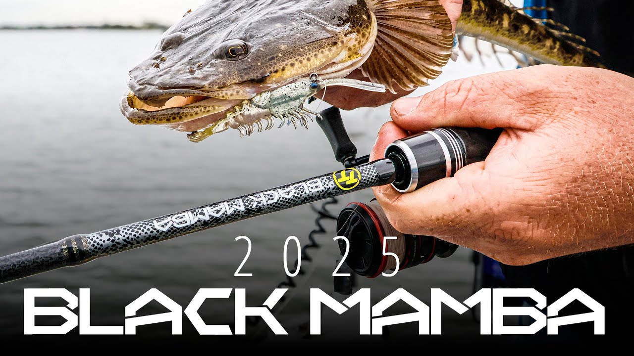 TT 25 Black Mamba Light Spin Fishing Rods - An Overview. - YouTube