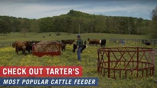 Check out Tarter