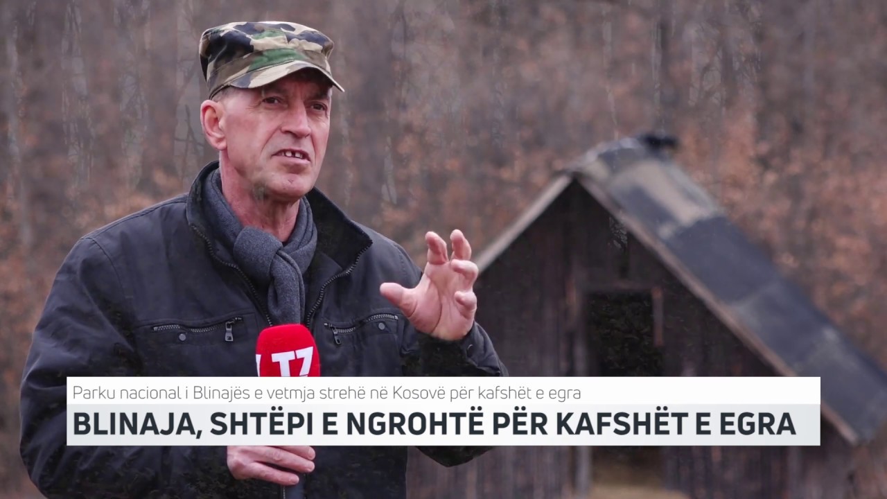 BLINAJA, SHTËPI E NGROHTË PËR KAFSHËT E EGRA | T7