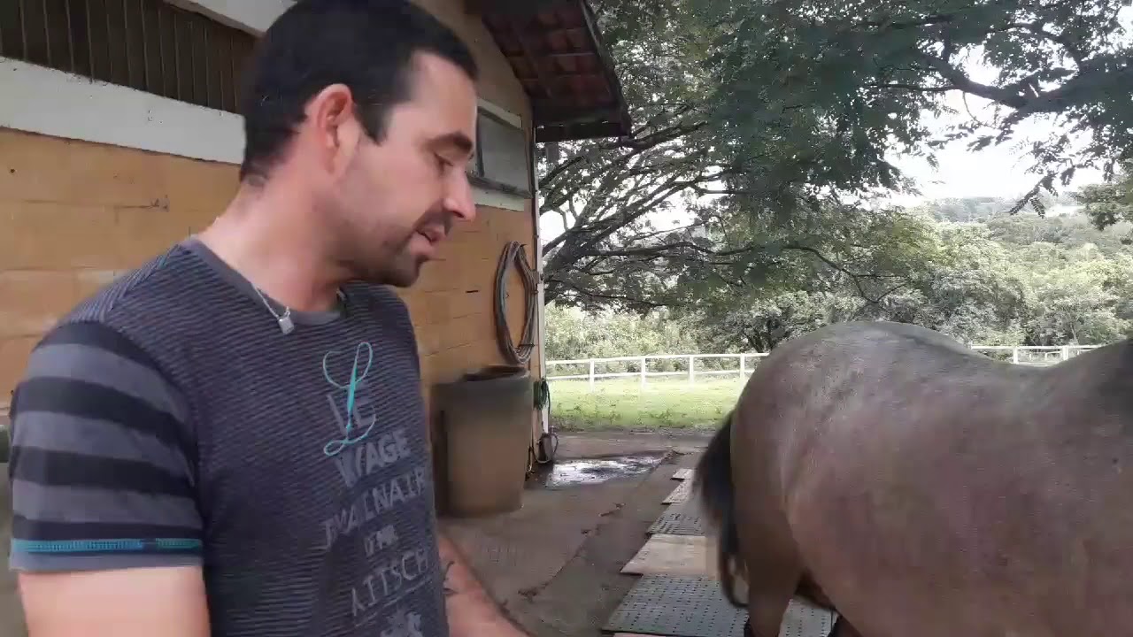 O que é bom para os cascos