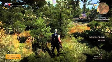 The Witcher 3 "how to battle the cyclops" hard mode.