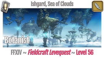 FFXIV Botanist Leves Level 56 - Ishgard, Sea of Clouds - Heavensward