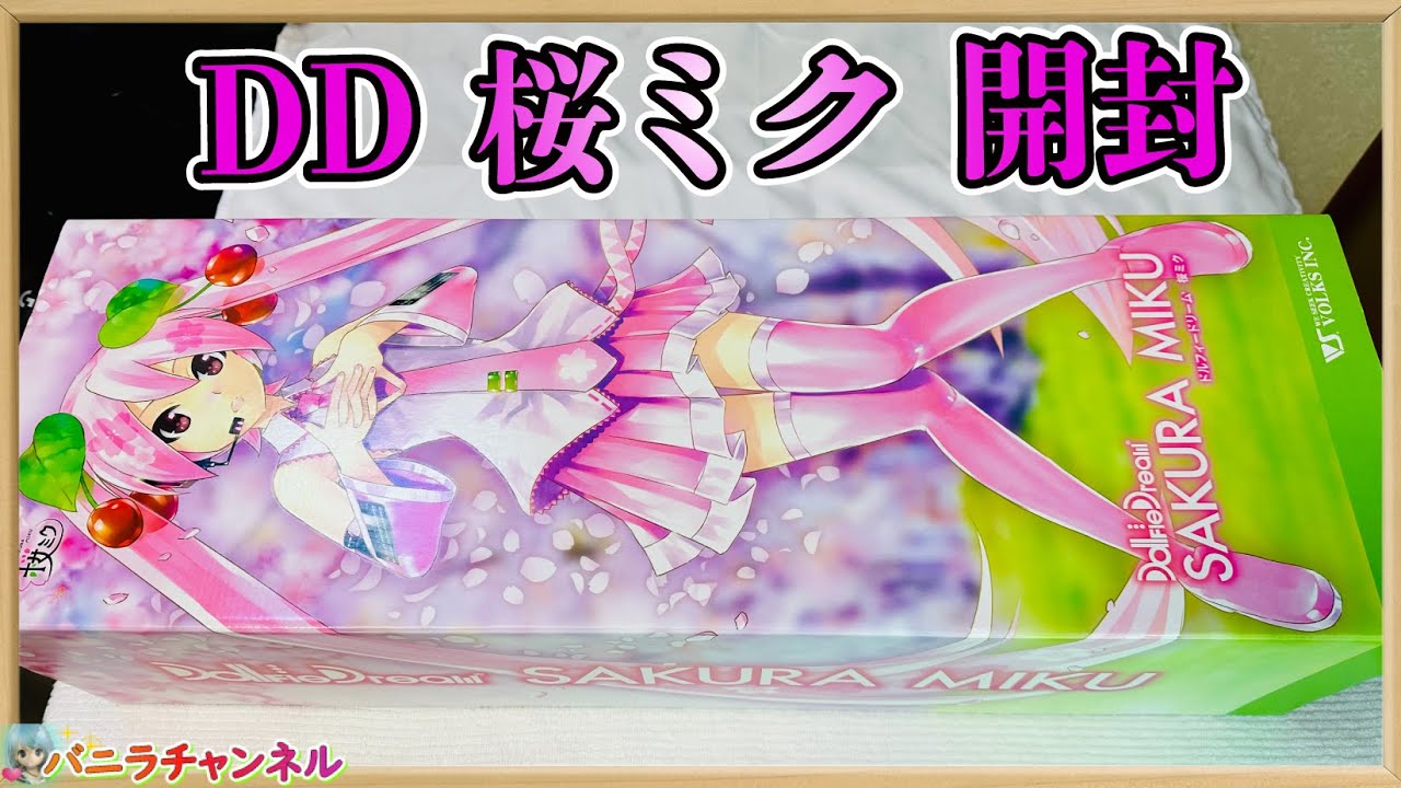 1/3ドール】DD桜ミク開封【60cm級ドール】unboxing DD sakura miku 