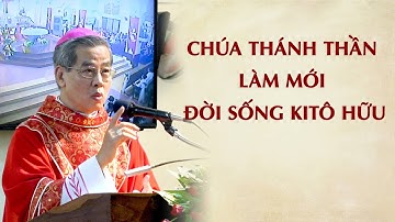 Chúa Thánh Thần làm mới đời sống Kitô hữu