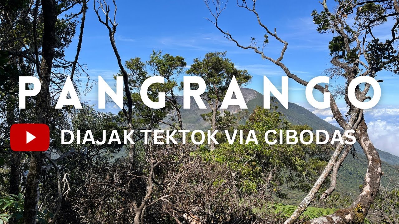 GUNUNG PANGRANGO VIA CIBODAS [ TEKTOK ] ! BEGINI TREKNYA : DARI BASECAMP SAMPAI KE PUNCAK