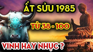 Hé Lộ Mệnh Chuẩn, Ất Sửu 1985 Từ 38 Đến 100 Tuổi, Vua Hay Giặc?, Sang Hay Nhục?
