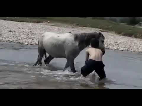 Colchian Folk Mingrelian Song Samargalo 