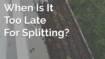When Is It Too late In The Season to Split A Beehive?