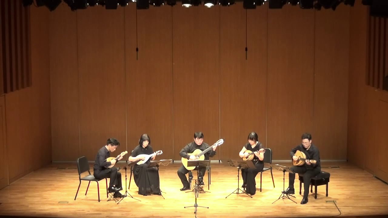 11. Quintett for 2 Violins, Viola, Cello and Guitar 3rd Mvmt. (J