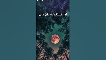 #ياسر_الدوسري #سورة_المؤمنون