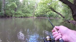 Creek Fishing for ANYTHING That Will Bite (amazing day!)