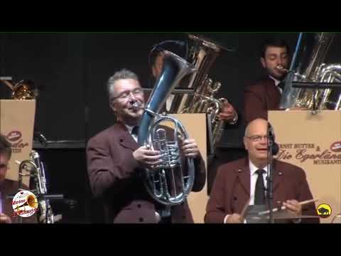Die Egerländer Musikanten