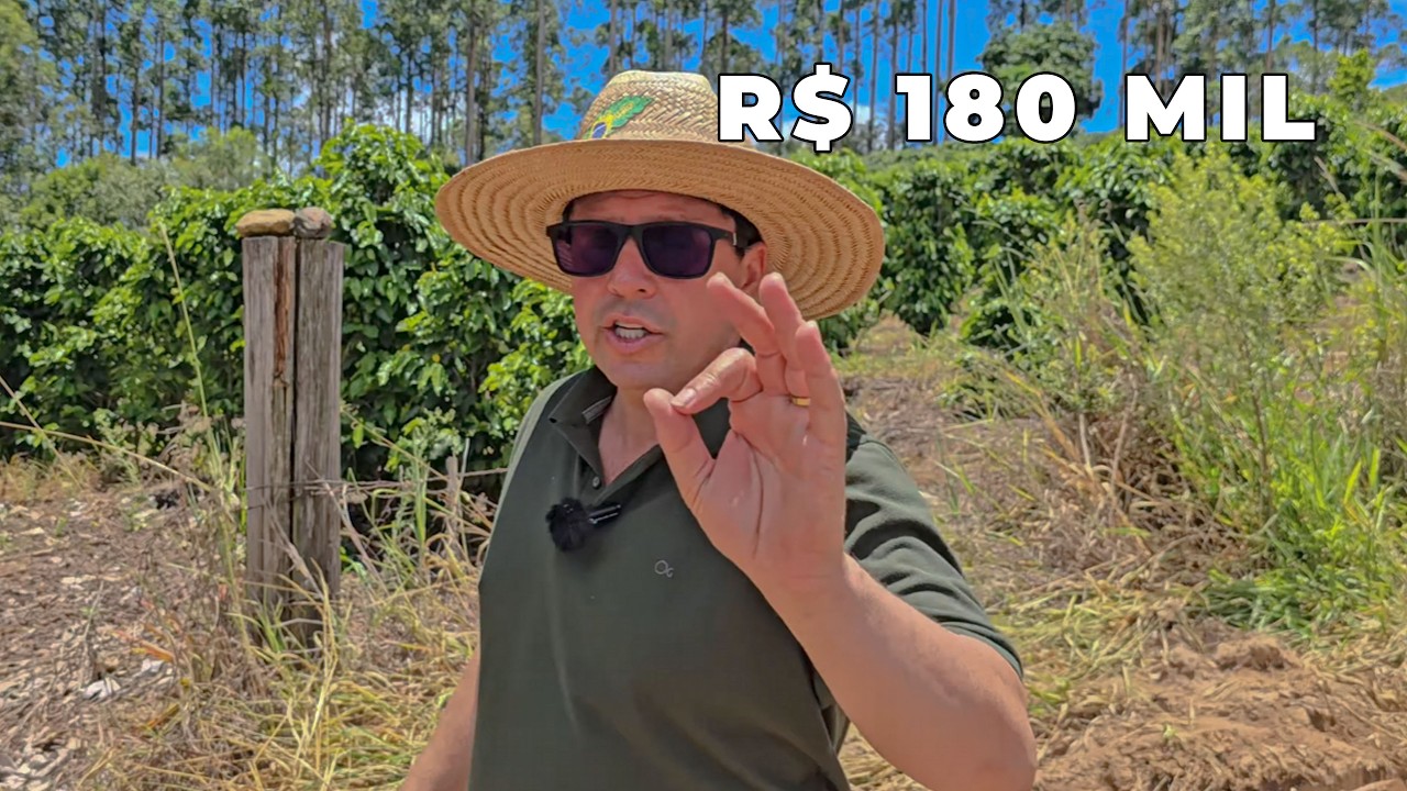 Chácara com nascente e bosque por R$ 180 mil | 28.000 m² | Pinhalão/PR - Código: 2603