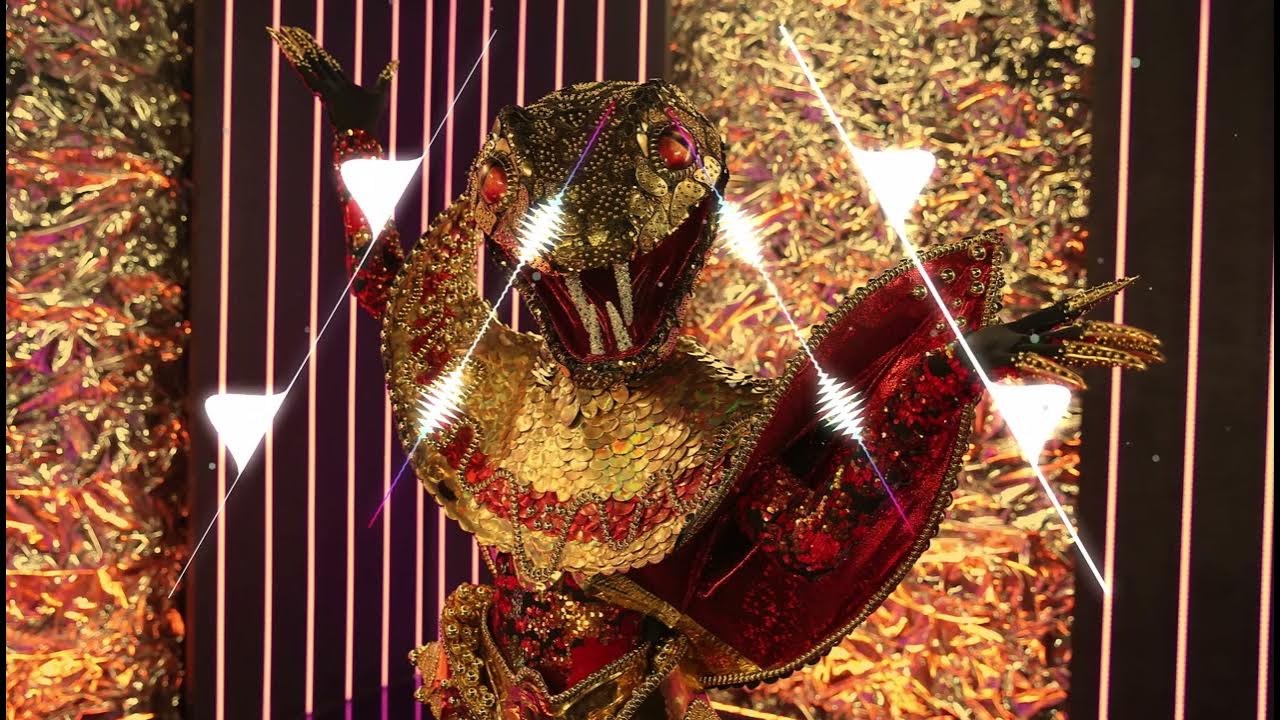 Кто был змеей в шоу маска 2. Шоу со змеей. Шоу маска змея паршута. Юля паршута маска змея. Гадюка шоу маска.