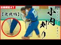 【技術解説シリーズ７】相四つの小内刈