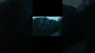 Emotional seen in apes #ceasar #shortsfeed #films #apes