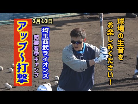 【埼玉西武ライオンズ】アップ~打撃練習【南郷春季キャンプ2022】