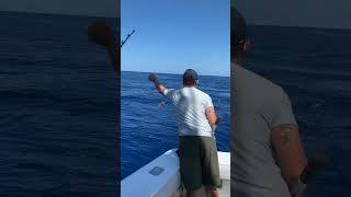 Zaida cranks lands mahi Sea Horse in the Keys