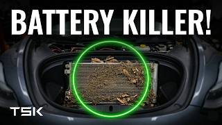 Don't Ignore This Tesla Maintenance | Alignment & Balance screenshot 3