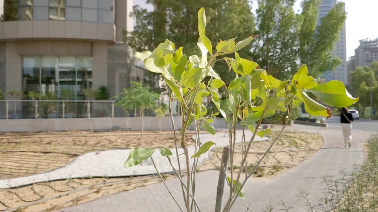 Smartisan Nut R1 - SlooowMotion - sev7en